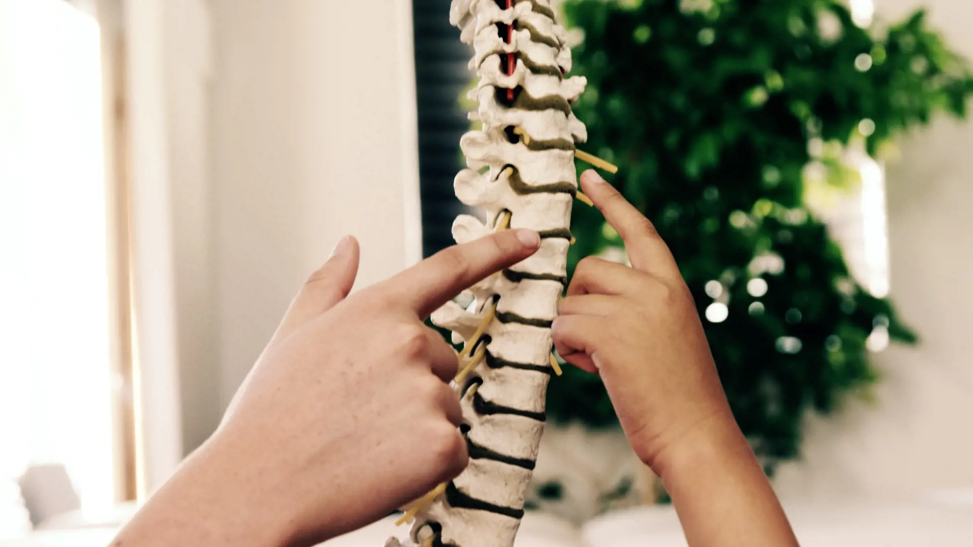 08 Spine